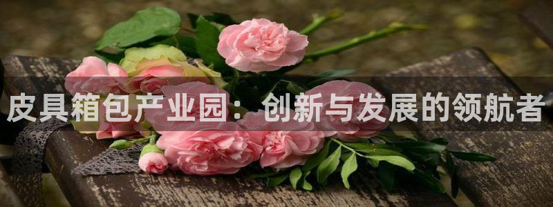 mvp娱乐 卧龙招商60447