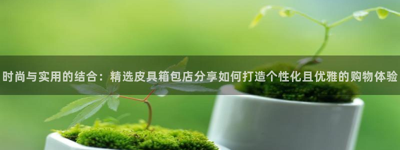 卧龙2娱乐