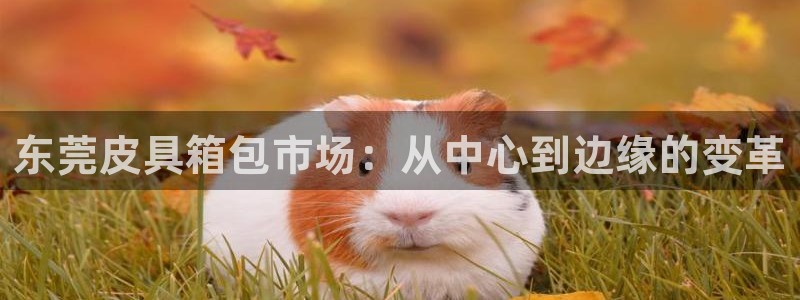 卧龙娱乐彩票官网