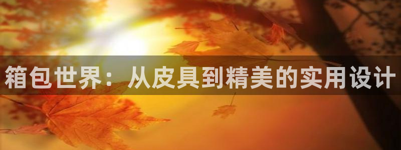 卧龙冲气娱乐设备