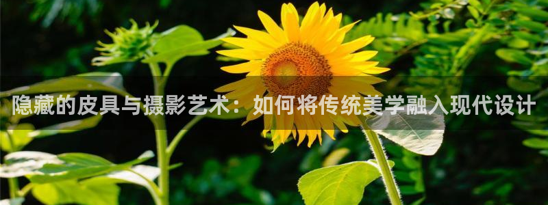 悉尼卧龙岗娱乐