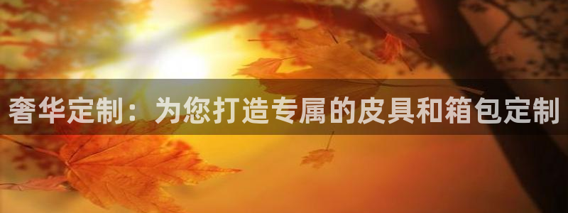 卧龙娱乐在线直播网页