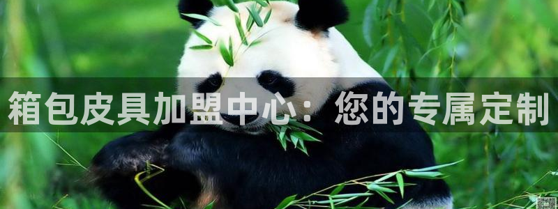 卧龙娱乐怎么样