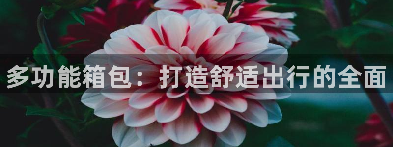 卧龙娱乐3月10日开