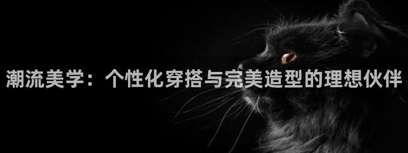 卧龙2神机娱乐注册