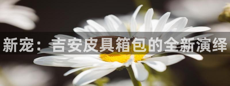 卧龙娱乐322901