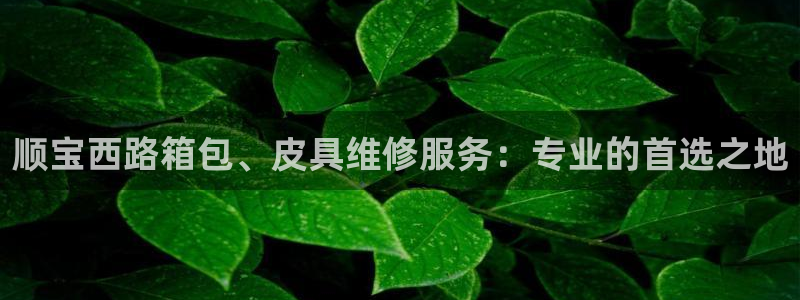 绥阳卧龙湖娱乐