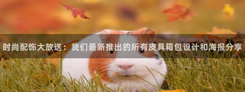 卧龙娱乐可靠吗