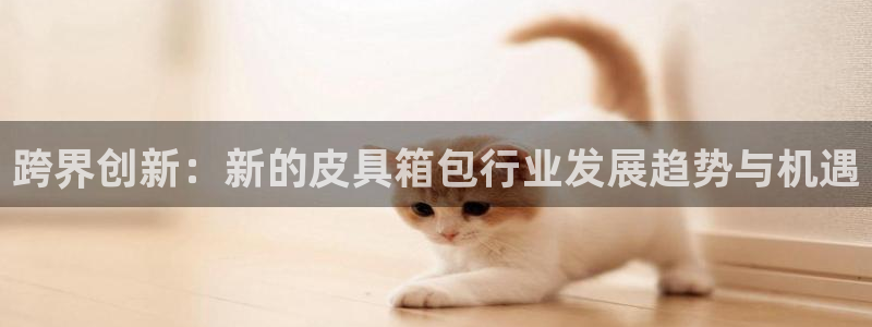 卧龙娱乐app彩票下载