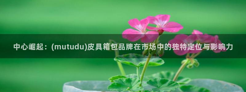 卧龙游乐娱乐设备