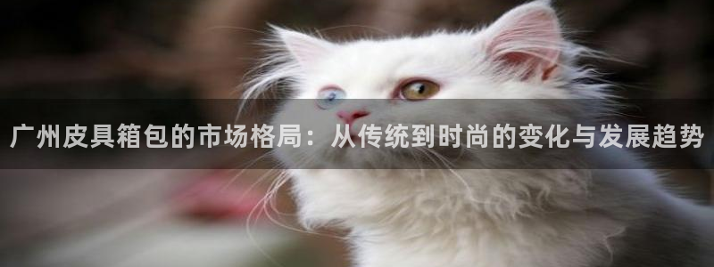 卧龙名都娱乐会所