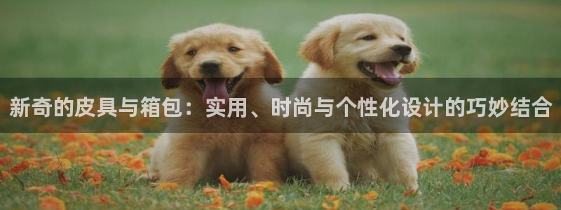 卧龙娱乐月