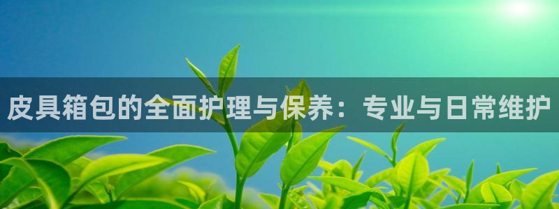 卧龙娱乐招商代理怎么样
