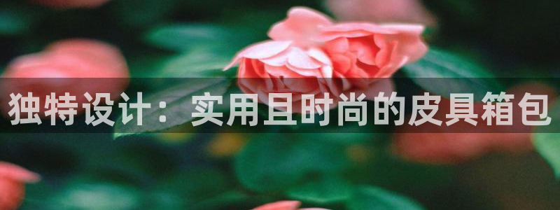 卧龙岗娱乐馆