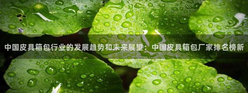 卧龙娱乐下