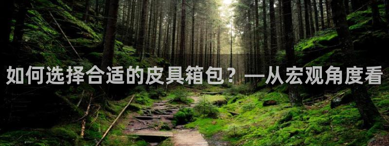 万景娱乐 卧龙