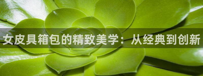 卧龙娱乐在线直播网站