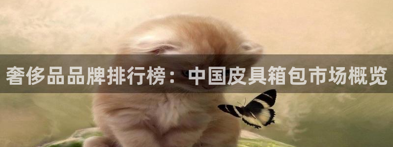 卧龙台球娱乐会所地址