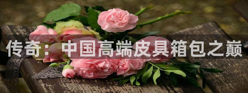 SKY娱乐卧龙招商60447