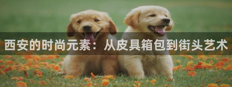 卧龙休闲娱乐优惠活动