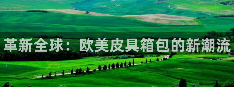 hr娱乐 扣卧龙60447