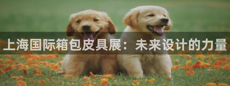 柏林娱乐- 0 卧龙