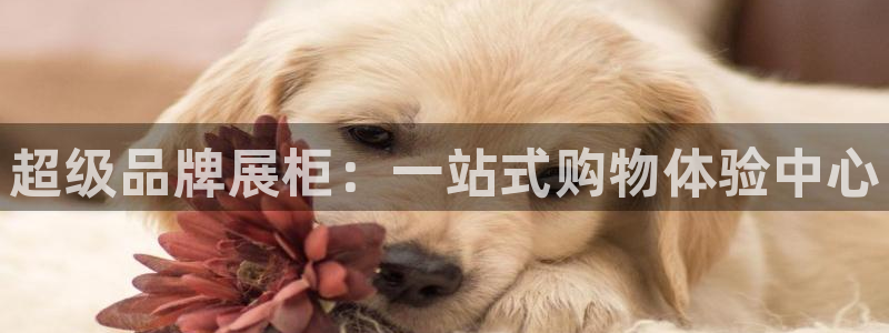 卧龙娱乐设备公司