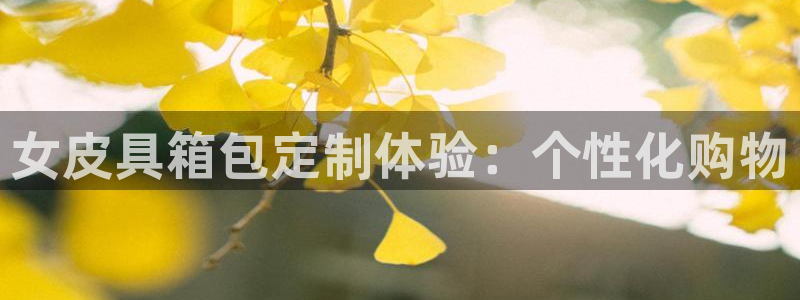 卧龙娱乐主管招聘信息