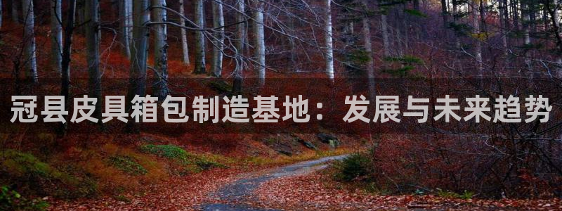 卧龙儿童娱乐海洋球