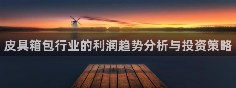 卧龙娱乐气垫项目投资