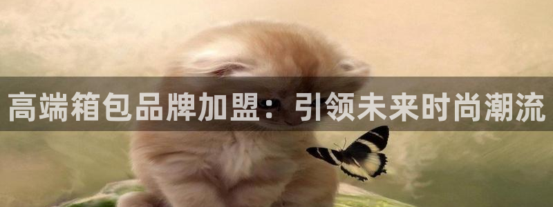 sky娱乐畅通卧龙86877