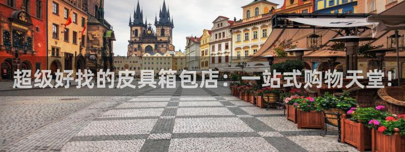 卧龙娱乐挂机平台有哪些