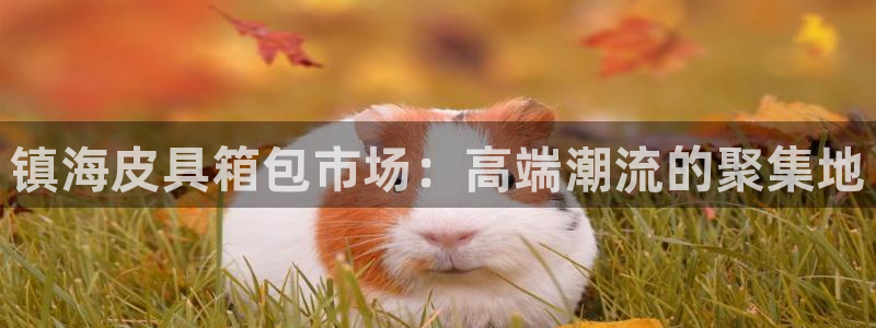 卧龙公园的娱乐项目