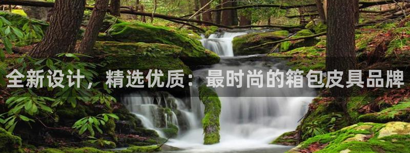 卧龙2娱乐雀711112