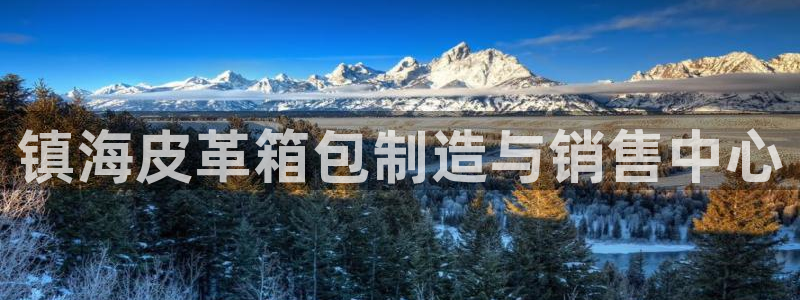 卧龙娱乐集团投注