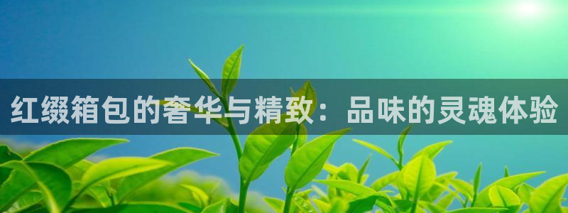 卧龙凤雏娱乐运城