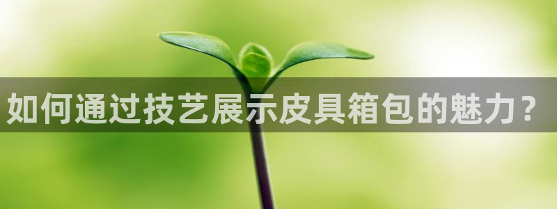 卧龙娱乐怎么注册公司