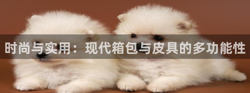 卧龙儿童娱乐海洋球