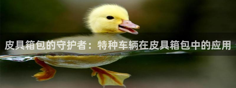 卧龙娱乐登录网址