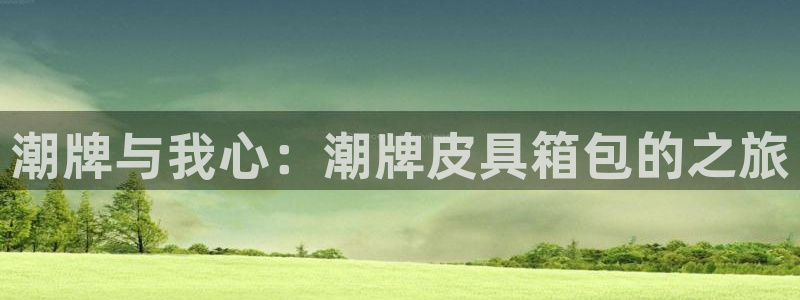 ta娱乐 卧龙股东60447