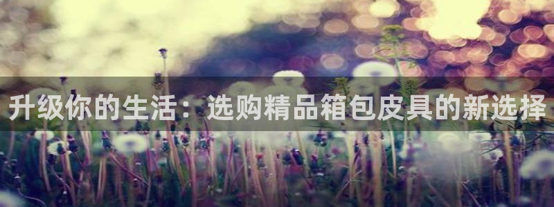 卧龙娱乐右7O667