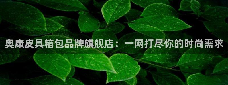 南阳卧龙站到尊上娱乐