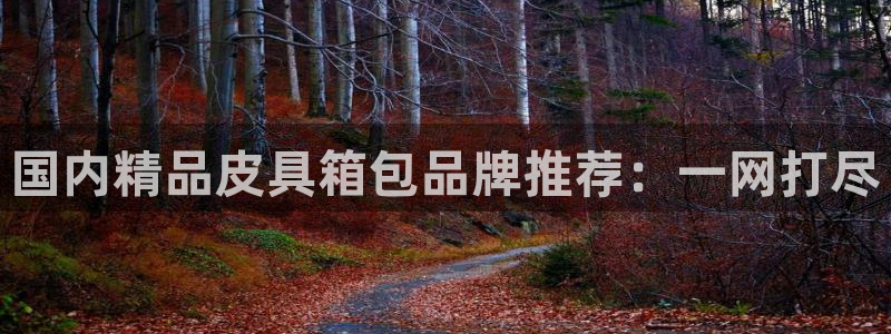 凤岗卧龙台球娱乐会所