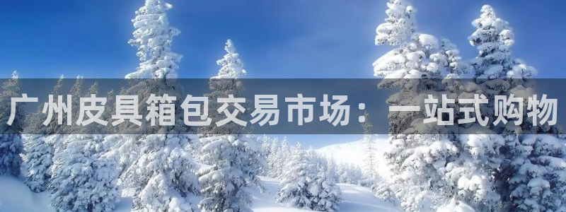 娱乐聚焦卧龙凤雏