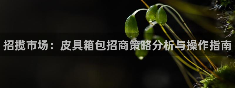 卧龙娱乐右7O667