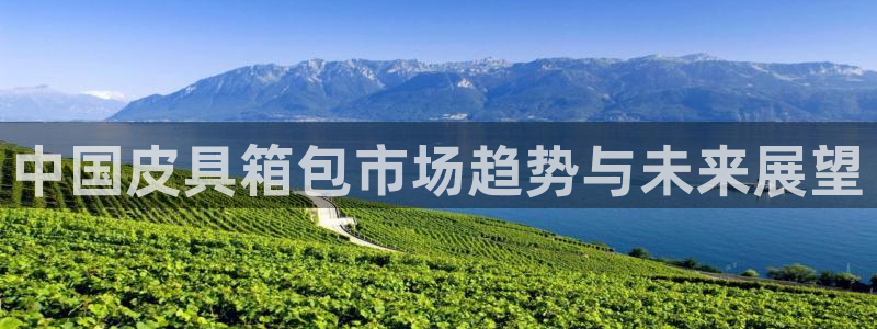 卧龙娱乐气垫项目投资