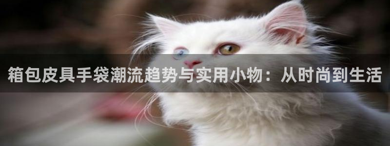 卧龙娱乐注册登录