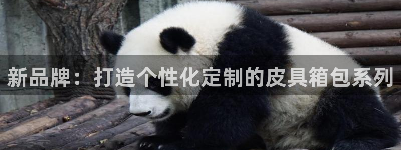 卧龙娱乐优七九九47