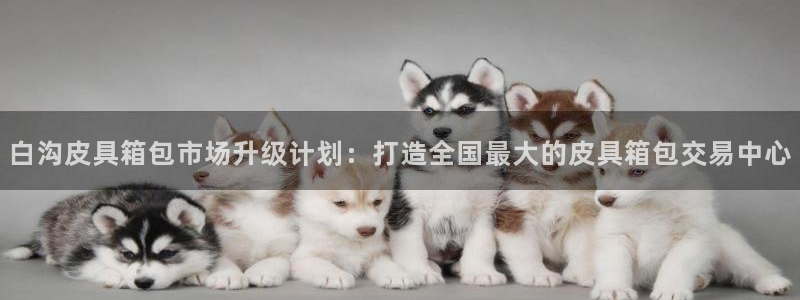 西安卧龙娱乐播报