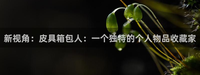 mvp娱乐 卧龙招商60447